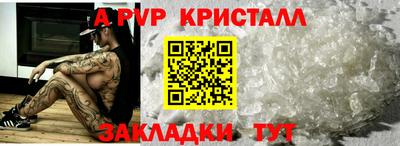 прущие грибы Тверь
