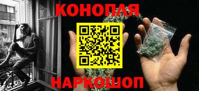 прущие грибы Тверь