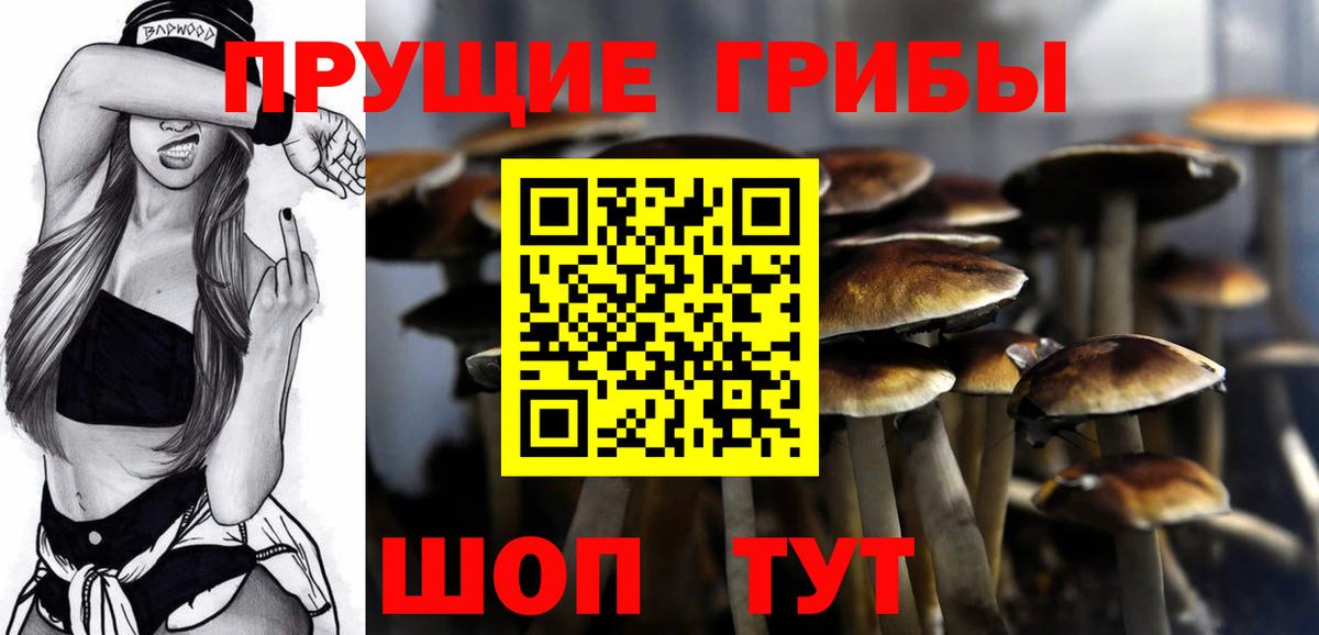Псилоцибиновые грибы MAGIC MUSHROOMS  Вход с VPN  Шатура 
